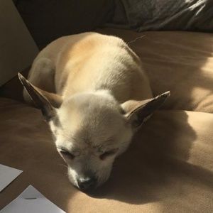 Meet your Posher, Julia